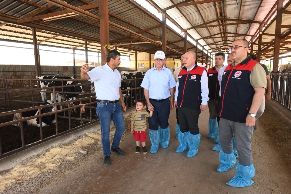 Denizli'de 511 bin ton inek sütü üretiliyor