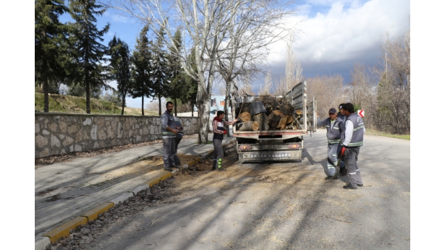 10 metrelik kavak ağacı minibüsün üzerine devrildi