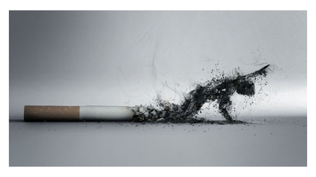 “Her yıl 100 binden fazla insanımızı sigaradan dolayı kaybediyoruz”