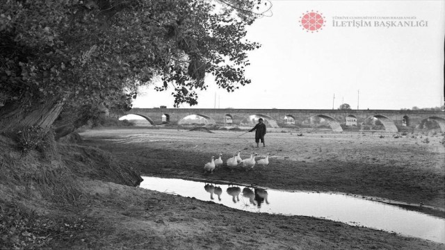 İletişim Başkanlığı fotoğraf arşivi dijital medyada