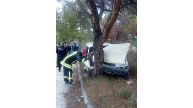 Denizli’de otomobil ağaca çarptı: 1 ölü, 1 yaralı