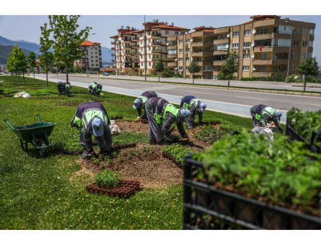 Büyükşehir ile daha yeşil bir Denizli