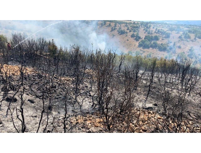 Denizli’de ormanlık alanda ki yangında 50 hektar zarar gördü