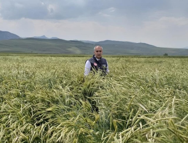 Sertifikalı tohumda 1 yılda yüzde 40’lık artış