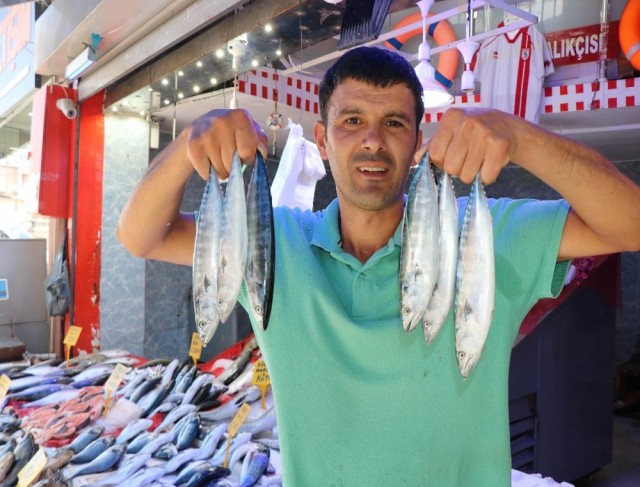 Sezonun ilk palamutları görücüye çıktı