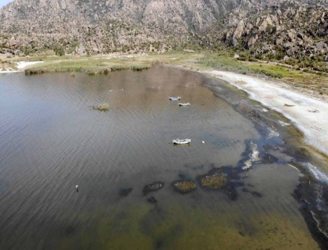 Bafa Gölü’ndeki balık ölümleri araştırılıyor