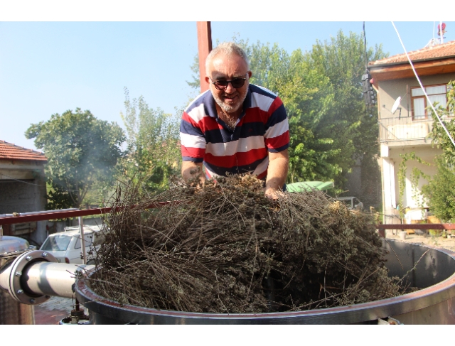 Korona virüsle mücadelede doğal dezenfektan: Kekik suyu