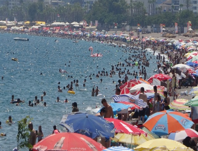 Antalyada vaka sayılarında bir ayda yüzde 100lük artış