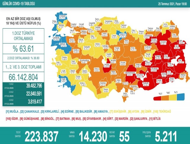 Son 24 saatte korona virüsten 55 kişi hayatını kaybetti