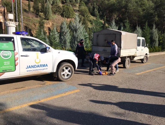 Manisada yaralı köpeğe jandarma şefkati