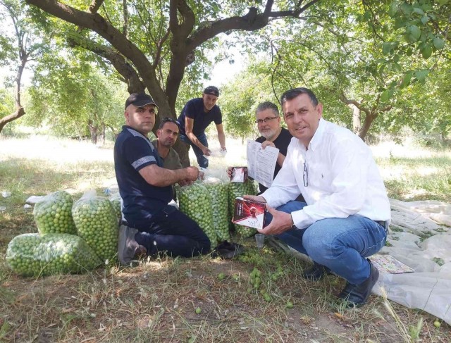 Eski Muhtarın aşısı, önce damaklarda taht kurdu şimdi de panzehir olarak kullanılacak