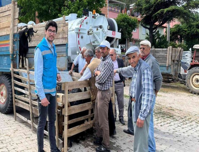 Şaphane kurbanlık hayvan pazarında denetim