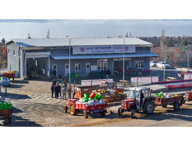 Zeytin üreticileride Büyükşehir ile kazandı