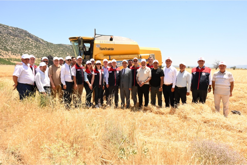Denizli’nin hububat deposu Acıpayam’da arpa hasadı başladı