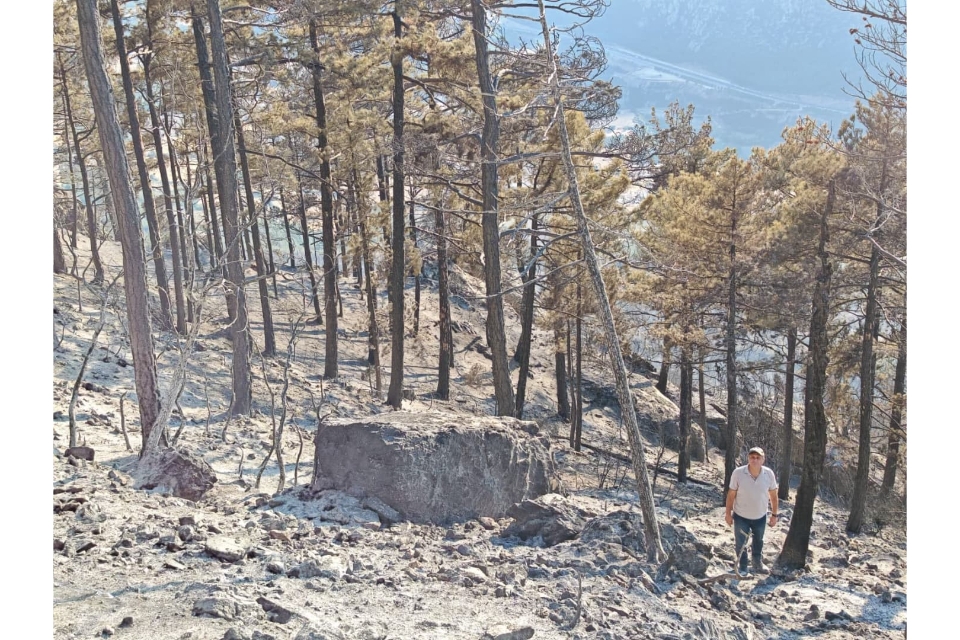 Cankurtaran’da yanan bölgenin ağaçlandırılması için çalışmalara başlandı