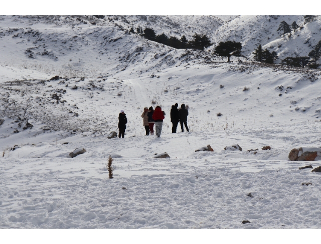 Denizli Nikfer Kayak Merkezi'nde yoğunluk erken başladı