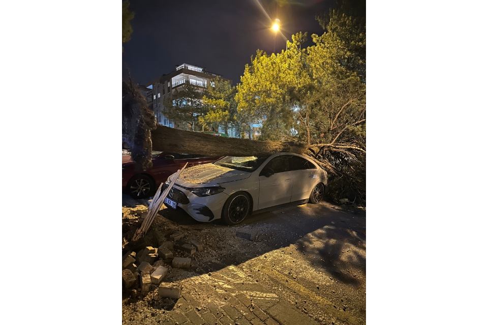 Denizli’de fırtına ağaçları devirdi, çatıları uçurdu