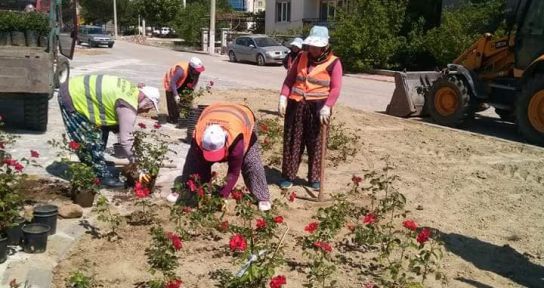 ACIPAYAM'DA GÜLLER AÇACAK