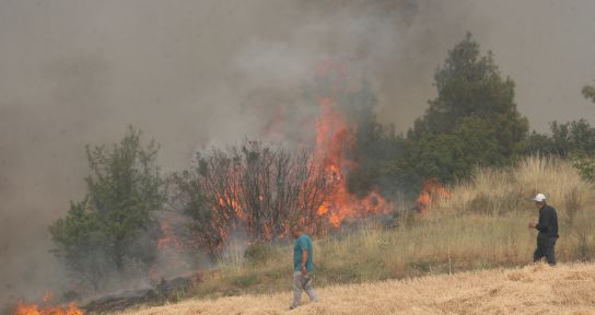 Denizli’deki orman yangınında 100 hektarlık alan zarar gördü