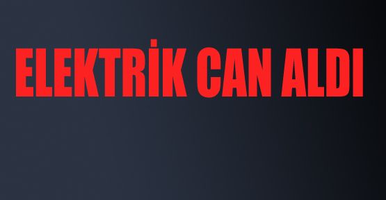 ELEKTRİK AKIMINA KAPILAN İŞÇİ HAYATINI KAYBETTİ