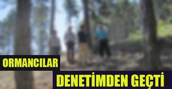 ORMAN BÖLGE MÜDÜRÜ, ORMANCILARI DENETLEDİ