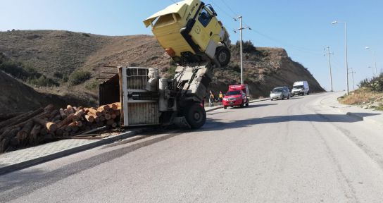 Park edilmek istenen tomruk yüklü tır şaha kalktı