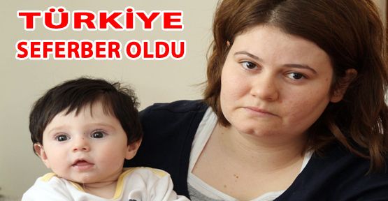 TÜRKİYE MİNİK BUĞLEM İÇİN SEFERBER OLDU