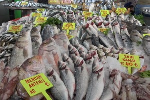 Balık fiyatlarının düşmesiyle vatandaşın talebi arttı