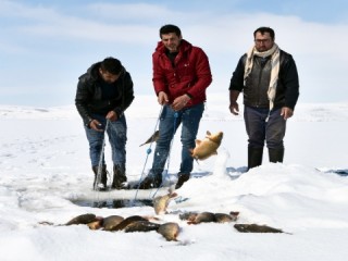Donan Nazik Gölü’nde Eskimo usulü balık avı