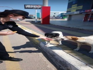 Polis memurundan iç ısıtan kareler