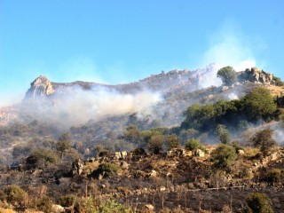 Bodrum’da 3 saat süren yangında 10 hektarlık alan kül oldu