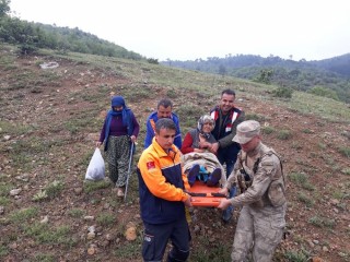 Kaybolan yaşlı kadın ormanlık alanda bulundu