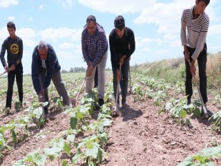Başkan Koçak: “Tarım işçileri olmazsa tarım olmaz”