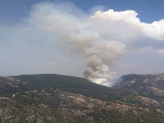 Milas’ta orman yangını