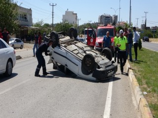 Eşeğe çarpmamak için takla attı