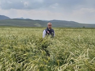 Sertifikalı tohumda 1 yılda yüzde 40’lık artış