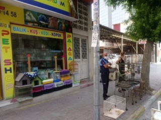 Akdeniz ilçesinde pet shoplar denetlendi