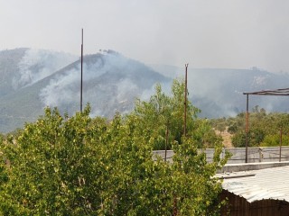 Suriye sınırındaki orman yangını sürüyor