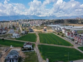Muratpaşa’da 20 bin kilogram buğday hasat edilecek