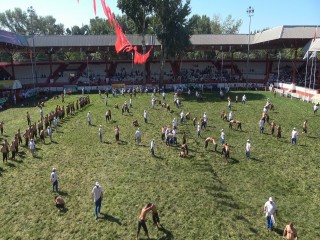 Kırkpınar’da 54 başpehlivan kol bağladı