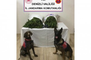 Denizli'de 18,8 kilo esrar ele geçirildi