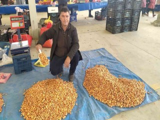 Tohumluk kuru soğanın kilogram fiyatını 5 TL’ye düştü