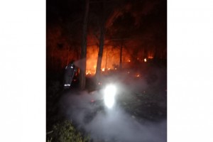 Denizli’de 2022 yılının ilk orman yangında 1 hektar alan zarar gördü