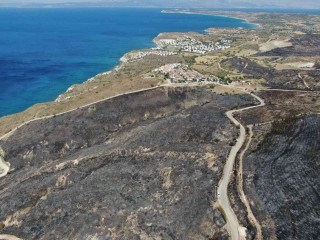 Çeşme yangını kontrol altında