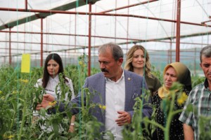 Çiftçiler için yeni destek ve imkanlar hayata geçirildi