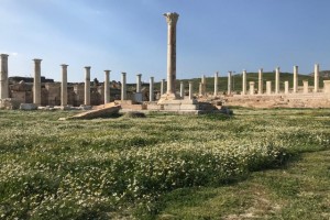Tripolis’te tarih ve tabiat iç içe