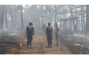 Denizli’deki orman yangınında 20 hektar alan kül oldu