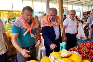 Asırlık miras Acıpayam kavunu tescillendi