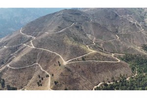 Denizli'de yanan 4 bin 108 hektar orman sahasında 2,5 milyon fidan yeşerecek