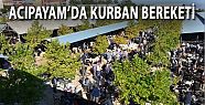 ACIPAYAM'DA KURBAN BAYRAMI HAREKETİ 